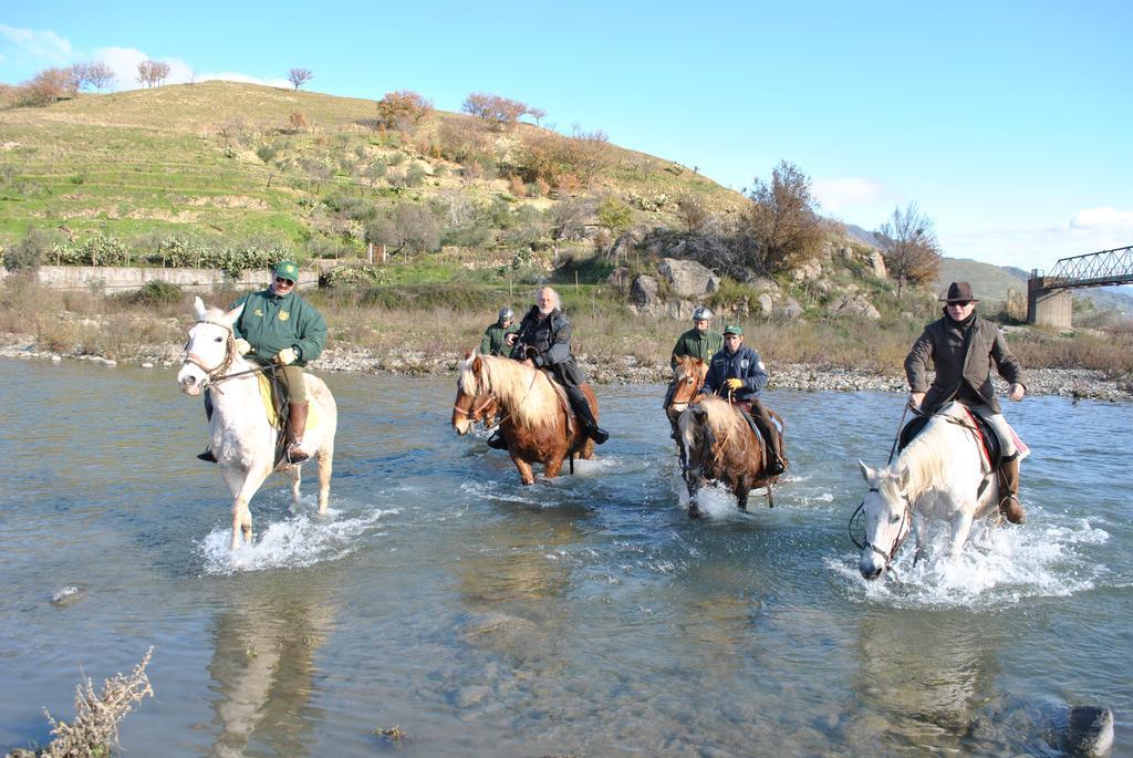 Agriturismo Borgo San Nicolao Randazzo Buitenkant foto